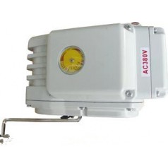 ZYS-25電動(dòng)執(zhí)行器