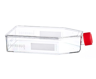 貼壁細(xì)胞培養(yǎng)瓶（TC處理，滅菌）661160 175cm&#178;，最大容積650ml（high）