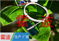 葉面溫度傳感器