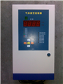 CH-B型氣體報(bào)警器