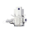 ZEISS GeminiSEM 300場(chǎng)發(fā)射掃描電子顯微鏡